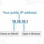 Buzhala WEB interface for checking public IP address with WhoIS lookup and browser options